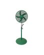 Ventilatore a Piantana Verde 130xØ50cm 75W 5 Pale - Coveri