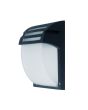 Lampada LED da Esterno E27 VT-754-7076 Nero IP44Vetro Satinato V-TAC